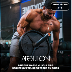 Apollon - programme en salle