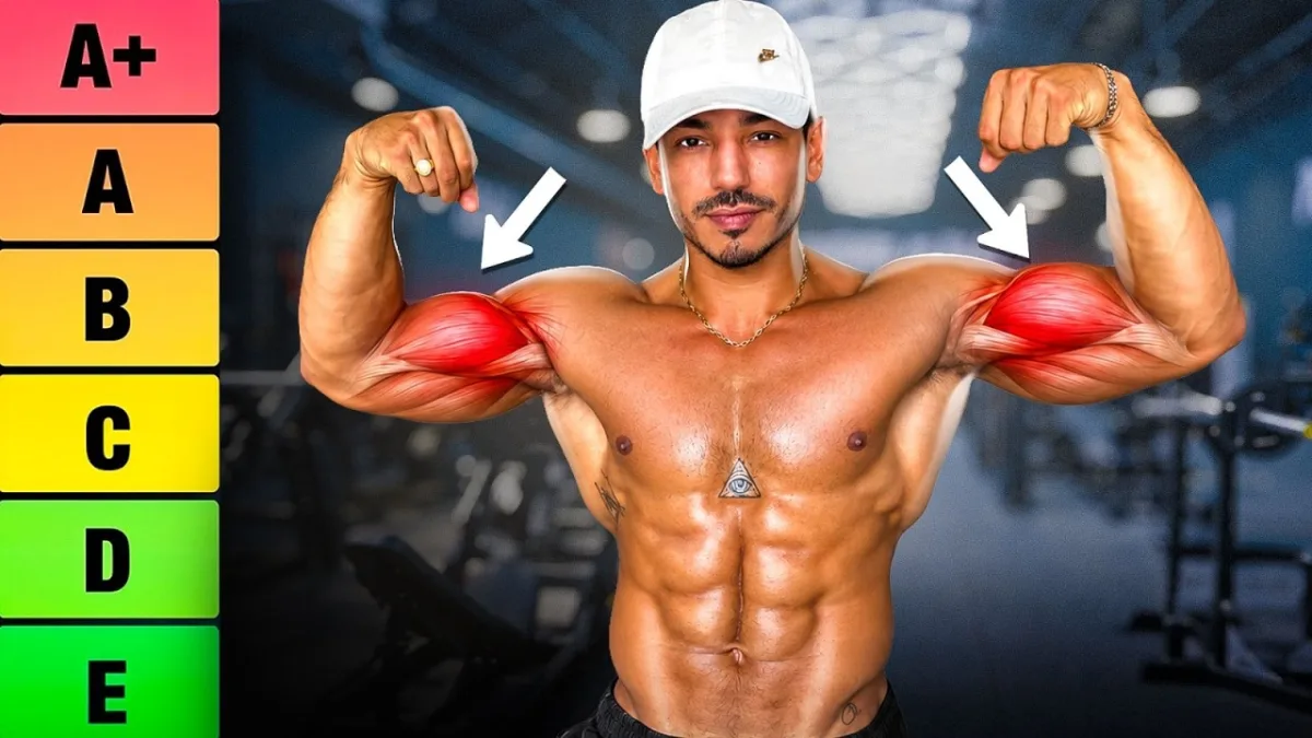 Meilleur exercice biceps : le classement par la science